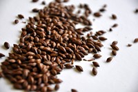 Chocolate (British)